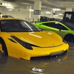 xlarge_singapore_exotics_flood_1