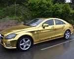 Mercedes-Benz Goldene Flotte, Cannes 2012