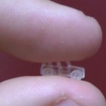 Tiny car