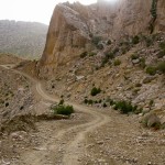 Driving - Hilly Roads