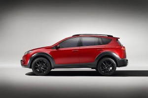 RAV 3