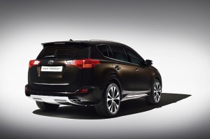 RAV 6