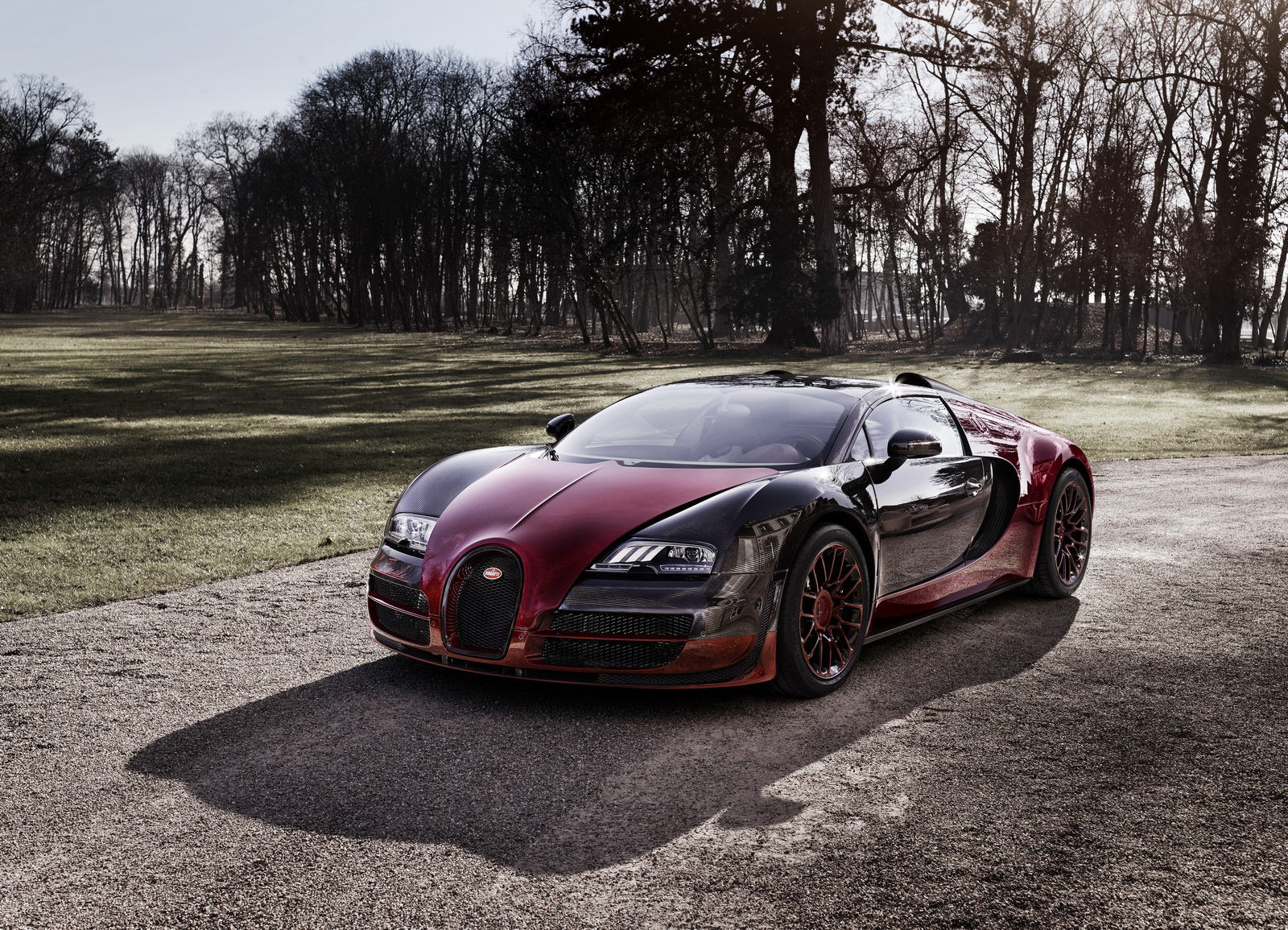 Bugatti-Veyron-La-Finale-3
