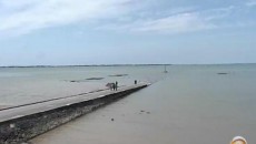 large_11110