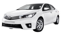 corolla-small