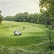 Mercedes Luxury Golf Car