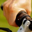 Stringbike Bicycle