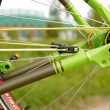 Stringbike Bicycle