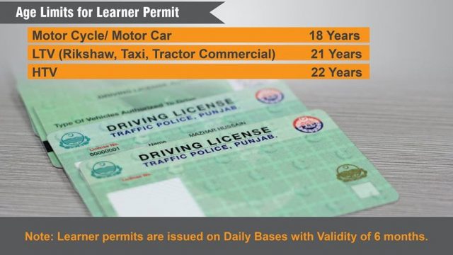 Pakistani driving licence