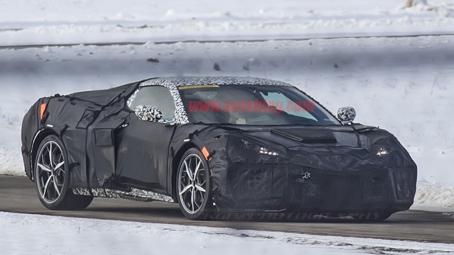 midengingvette-