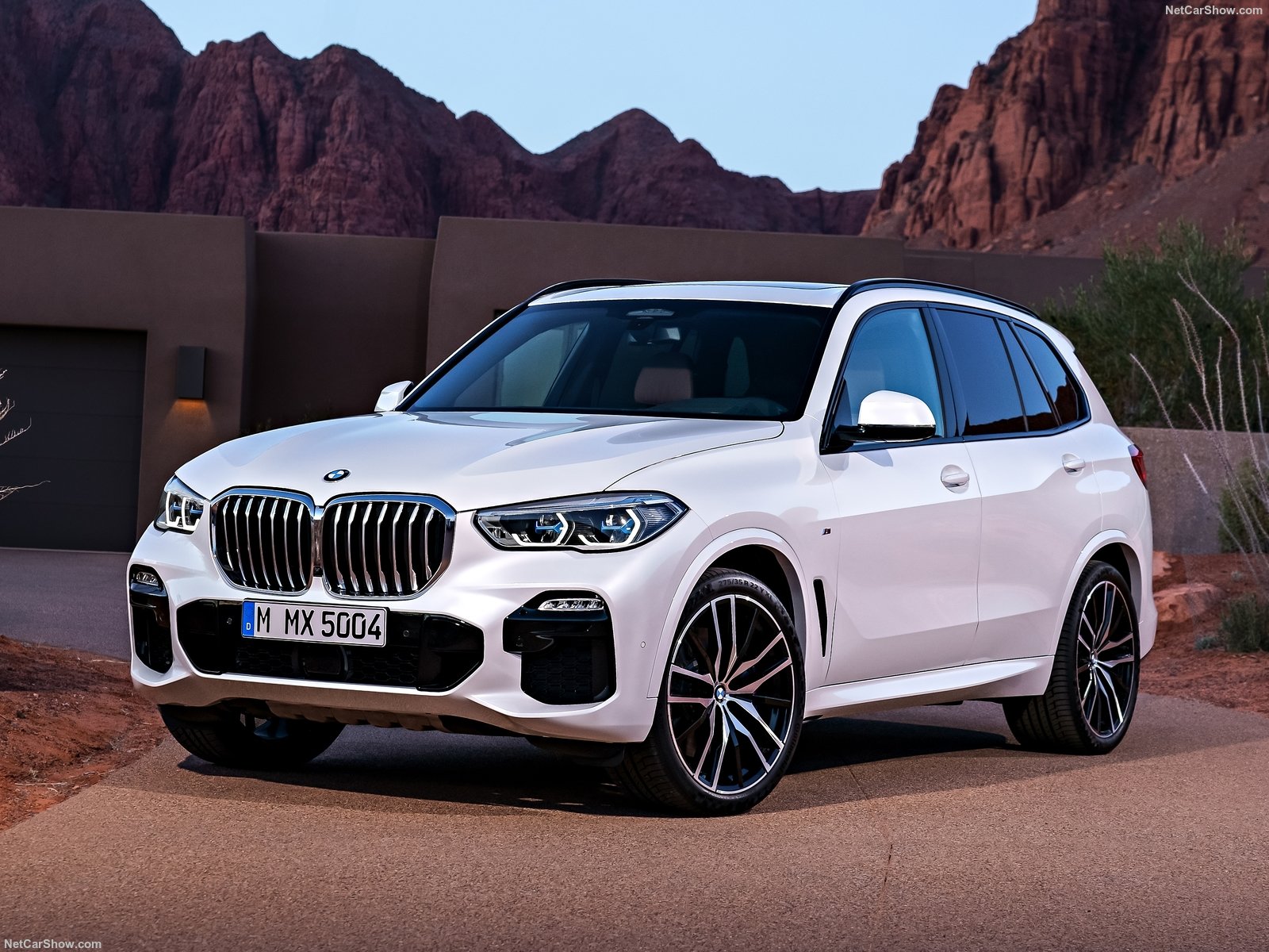 Bmw x5 2019 года