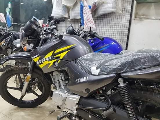 yamaha ybr 125 g price