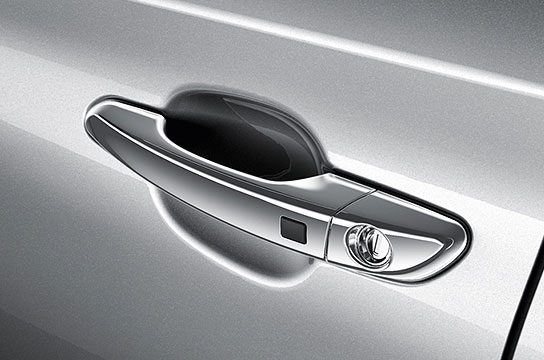 Chrome Door Handle