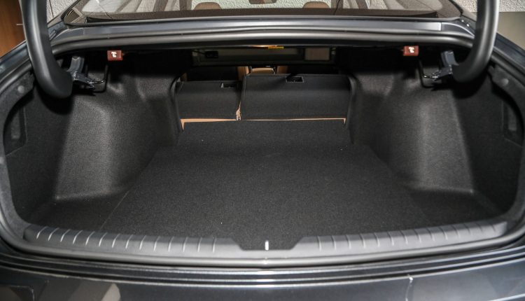 Trunk