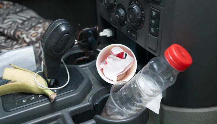 Car Care and Cleanliness