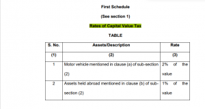 Capital Value Tax