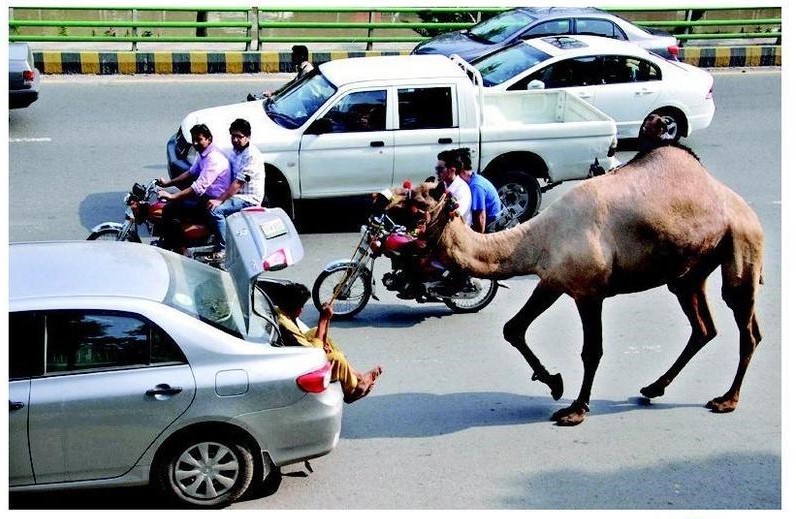 bari eid