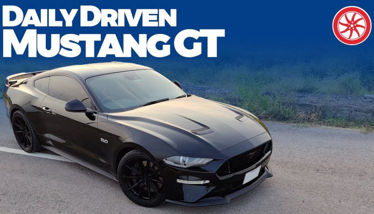 Daily Driven Mustang 5.0 GT