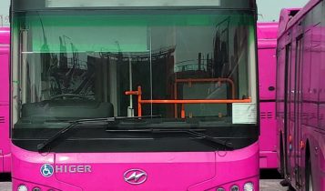 sindh pink buses