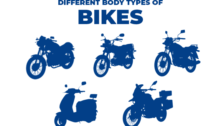 different type of body shapes